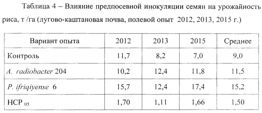 Штамм ассоциативных бактерий phyllobacterium ifriqiyense 6, активный азотфиксатор и ростстимулятор для повышения продуктивности риса (патент 2649362)