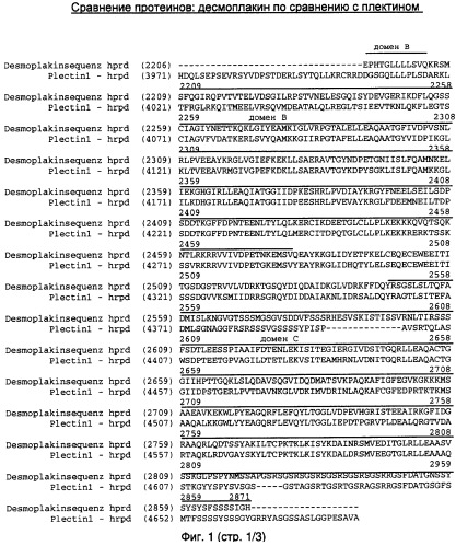 Кератинсвязывающие полипептиды (патент 2411029)
