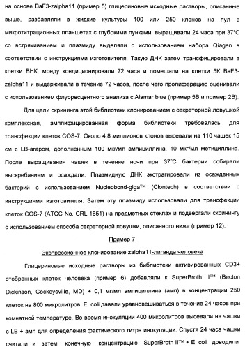 Выделенный полипептид, связывающий рецептор zalpha11-лиганда (варианты), кодирующий его полинуклеотид (варианты), вектор экспрессии (варианты) и клетка-хозяин (варианты) (патент 2346951)