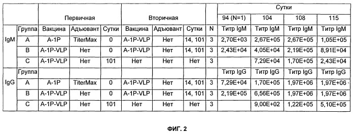 Антигенные tau-пептиды и их применения (патент 2518291)