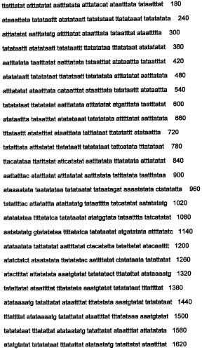 Днк, повышающая продуцирование белка, и ее применение (патент 2375450)