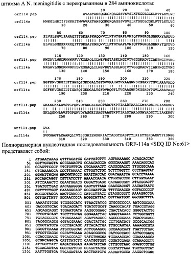 Антигены neisseria meningitidis (патент 2343159)