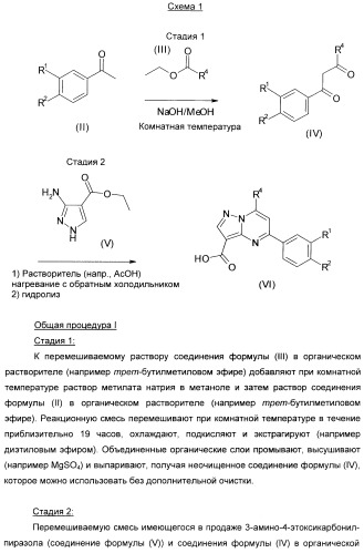 Производные пиразол-пиримидина в качестве антагонистов mglur2 (патент 2402553)