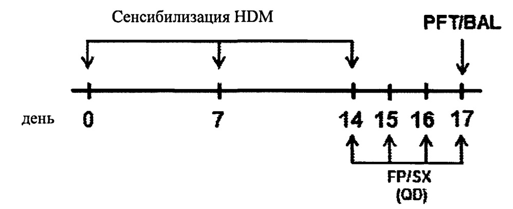 Одновалентные катионы. Одновалентные металлы. RB катион одновалентный?.