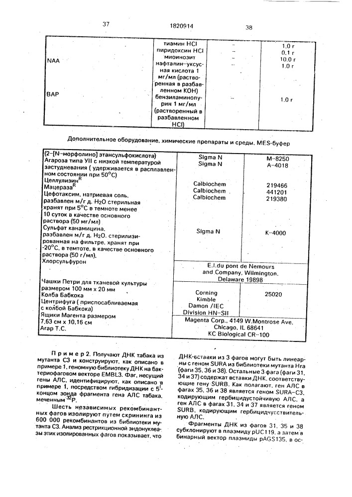 Способ получения двудольных растений, устойчивых к сульфонилмочевине (патент 1820914)