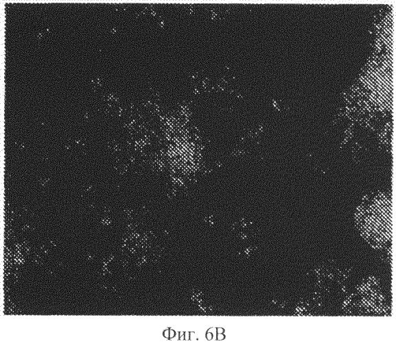 Антибактериальные композиции для ухода за полостью рта, содержащие аморфный кварц (патент 2497496)
