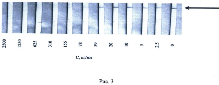 Способ снижения предела обнаружения иммунохроматографических методов контроля содержания низкомолекулярных соединений (патент 2497126)