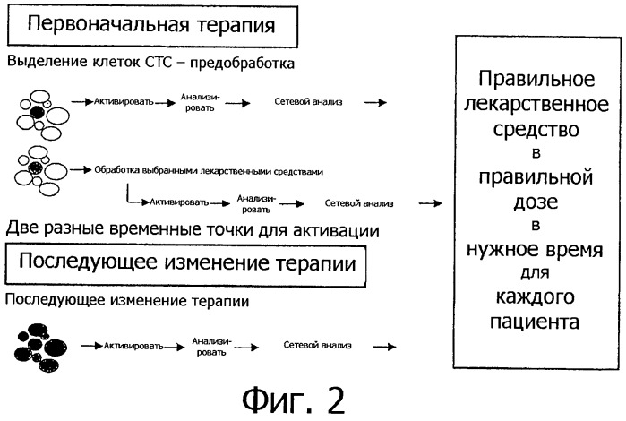 Выбор лекарственных средств для терапии рака легких с помощью матриц на основе антител (патент 2519647)