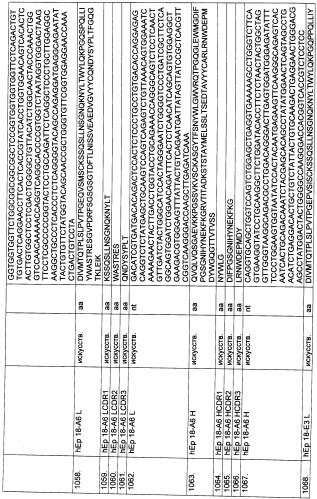 Pscaxcd3, cd19xcd3, c-metxcd3, эндосиалинxcd3, epcamxcd3, igf-1rxcd3 или fap-альфаxcd3 биспецифическое одноцепочечное антитело с межвидовой специфичностью (патент 2547600)