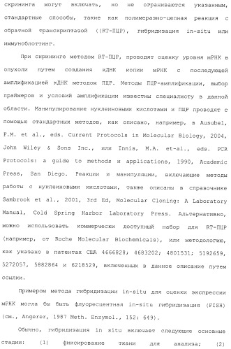 Производные гидробензамида в качестве ингибиторов hsp90 (патент 2490258)