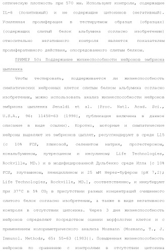 Слитые белки альбумина (патент 2369404)