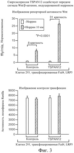 Способы ингибирования глазного ангиогенеза (патент 2530583)
