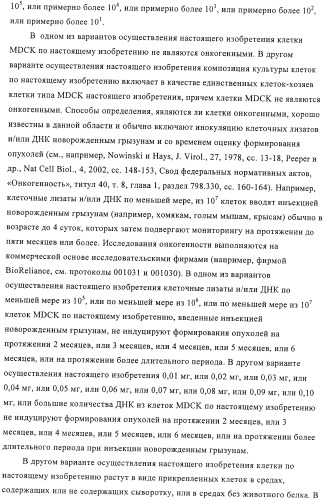 Линии клеток почки собаки майдин-дэрби (mdck), поддерживающие рост вирусов до высоких титров, и способ применения этих клеток в биореакторе (патент 2487935)