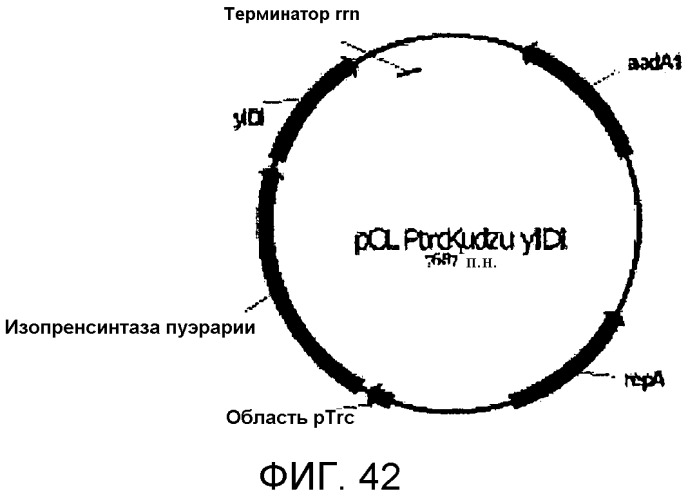 Композиции и способы получения изопрена, не содержащего с5-углеводородов в условиях нарушения взаимосвязи между продуцированием изопрена и ростом клеток и/или в условиях продуцирования изопрена на безопасных рабочих уровнях (патент 2563513)