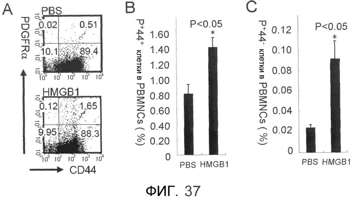 Способ сбора функциональных клеток in vivo с высокой эффективностью (патент 2571230)