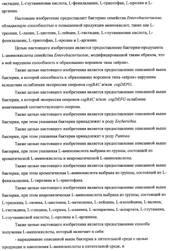 Способ получения l-треонина с использованием бактерии, принадлежащей к роду escherichia, модифицированной таким образом, что в ней нарушена способность к образованию ворсинок типа &quot;керли&quot; (патент 2338782)