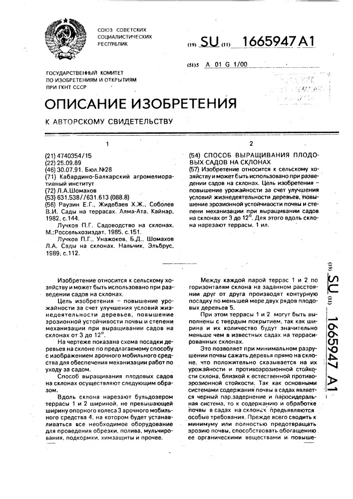 Способ выращивания плодовых садов на склонах (патент 1665947)