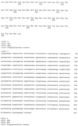 Иммуногенные композиции антигенов staphylococcus aureus (патент 2536981)