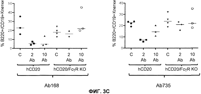 Гуманизированные fcγr мыши (патент 2549695)