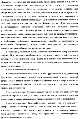 Биспецифические антитела к erb-b и их применение для лечения опухолей (патент 2349340)