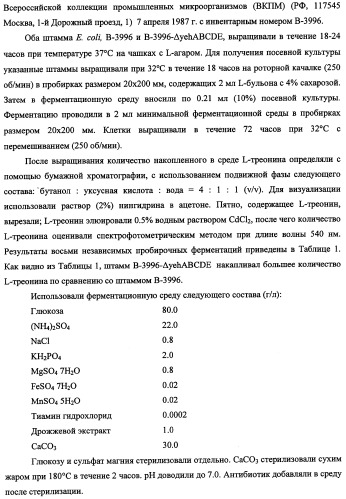 Способ получения l-треонина и l-аргинина с использованием бактерии, принадлежащей к роду escherichia, в которой инактивирован кластер генов yehabcde (патент 2337960)