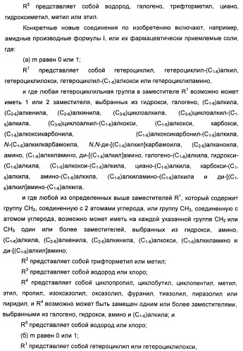 Амидные производные (патент 2396259)