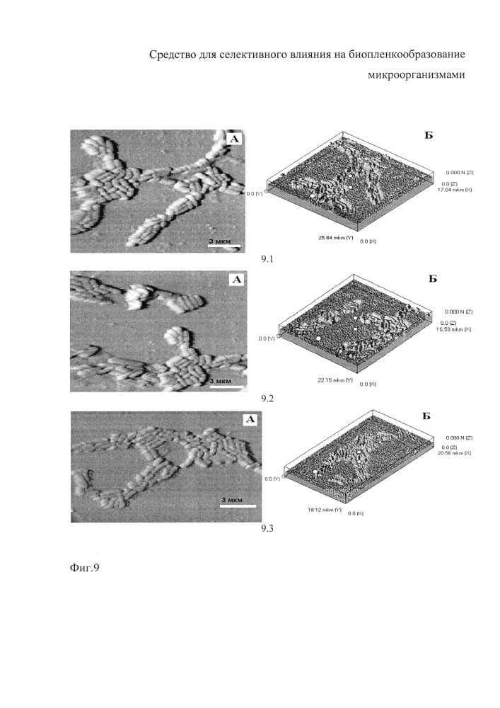 Средство для селективного влияния на биопленкообразование микроорганизмами (патент 2646488)