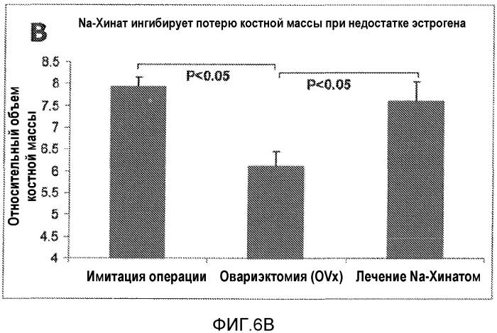 Лечение остеопороза (патент 2562976)