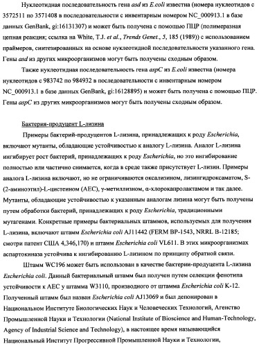 Способ получения l-треонина с использованием бактерии, принадлежащей к роду escherichia (патент 2338783)