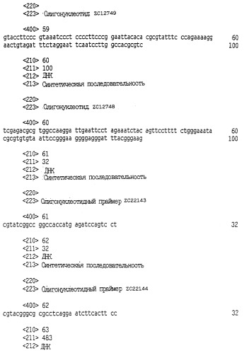 Выделенный полипептид, связывающий рецептор zalpha11-лиганда (варианты), кодирующий его полинуклеотид (варианты), вектор экспрессии (варианты) и клетка-хозяин (варианты) (патент 2346951)