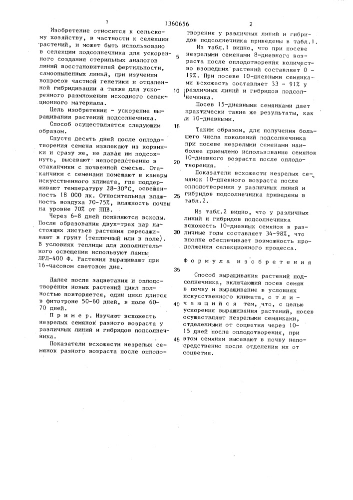 Способ выращивания растений подсолнечника (патент 1360656)
