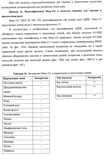 Идентификация опухолевых антигенов для диагностики и терапии (патент 2485974)