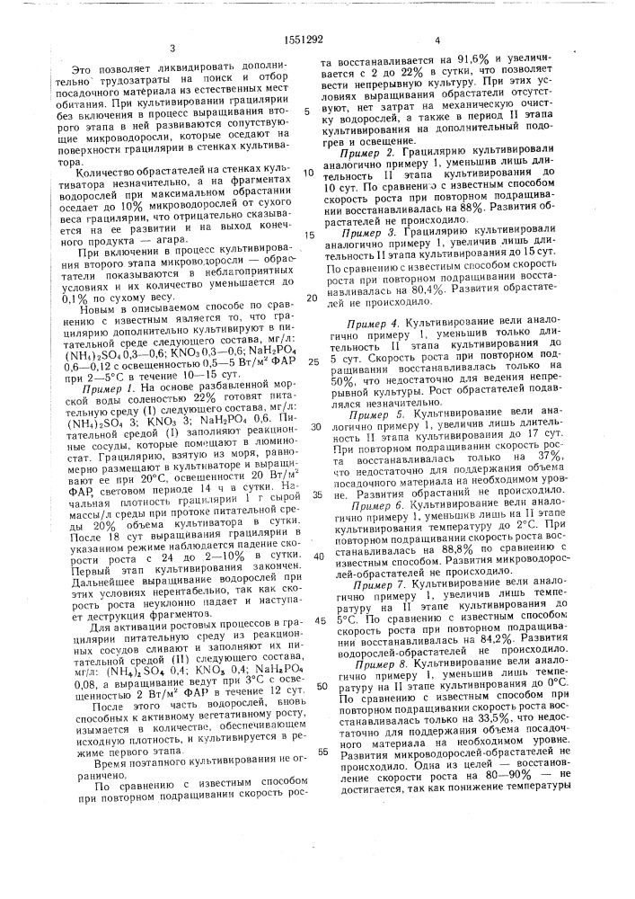Способ культивирования морской красной водоросли рода грацилярия (патент 1551292)