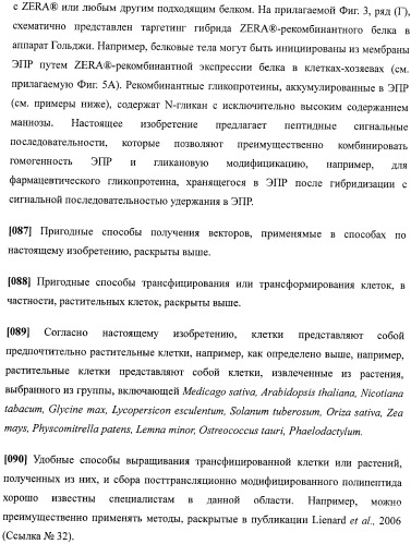 Набор последовательностей для таргетинга экспрессии и контроля посттрансляционных модификаций рекомбинантного полипептида (патент 2481399)