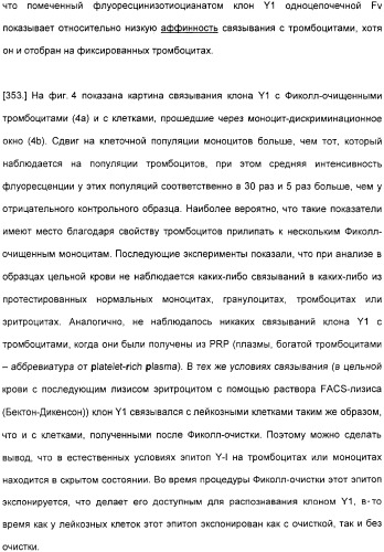 Специфические антитела человека для избирательной терапии рака (патент 2316564)