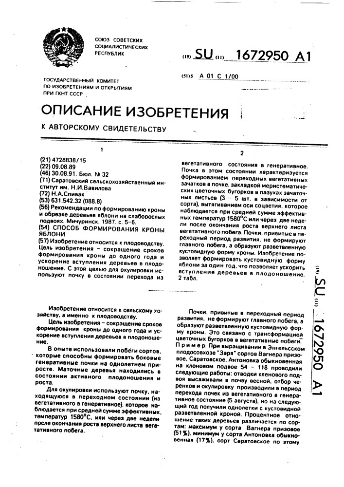 Способ формирования кроны яблони (патент 1672950)
