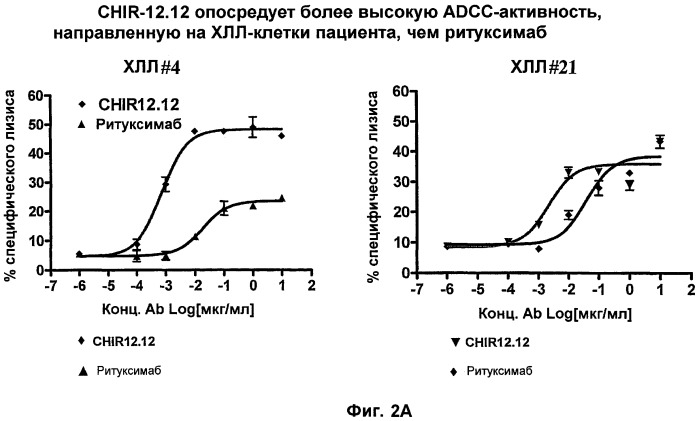 Применение анти-cd40-антител (патент 2442606)