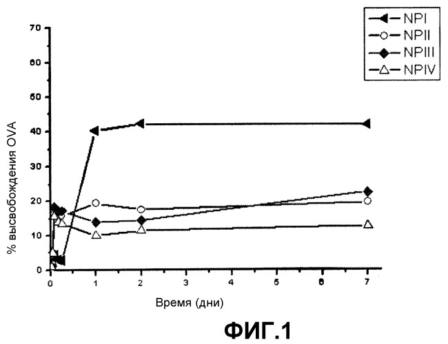 Композиция, стимулирующая иммунный ответ, содержащая наночастицы на основе сополимера метилвинилового эфира малеинового ангидрида (патент 2379028)