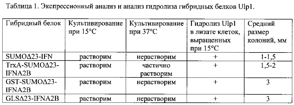 Система экспрессии и способ получения немодифицированных рекомбинантных белков в escherichia coli с её использованием (патент 2604796)