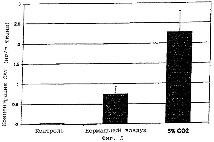 Увеличение эффективности ингаляционной терапии с помощью диоксида углерода (патент 2270683)