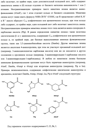 Модифицированные миметики лизина (патент 2494095)
