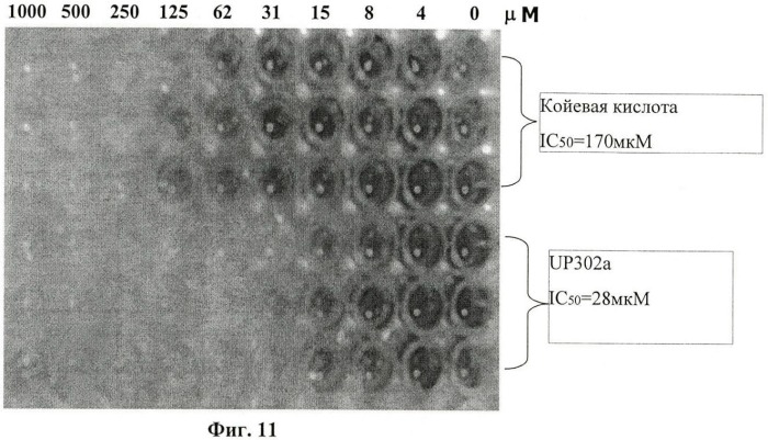 Диарилалканы в качестве эффективных ингибиторов двухъядерных ферментов (патент 2466981)