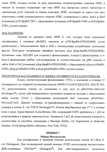 Система экспрессии компонентов ортогональной трансляции в эубактериальной клетке-хозяине (патент 2467069)
