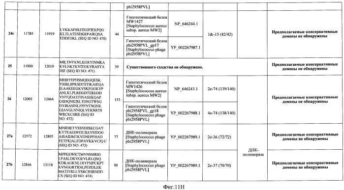 Бактериофаг, обладающий активностью против pseudomonas aeruginosa, белки бактериофага и способы их применения (патент 2580248)