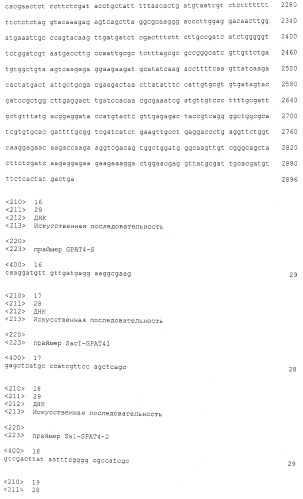 Гомолог глицерол-3-фосфат-ацилтрансферазы и его использование (патент 2545375)