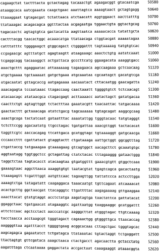 Бактериофаг, обладающий активностью против pseudomonas aeruginosa, белки бактериофага и способы их применения (патент 2580248)