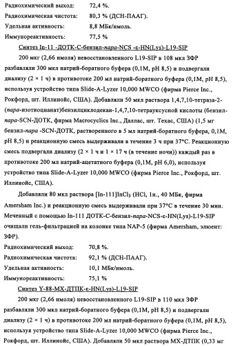 Избирательный направленный перенос в сосудистую сеть опухоли с использованием молекул антител (патент 2347787)