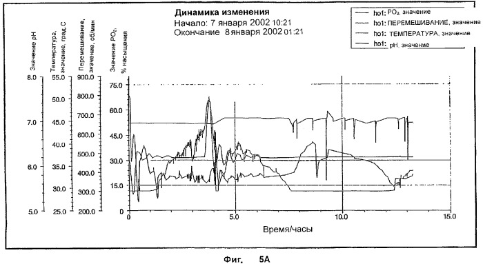 Фармацевтический препарат и способ лечения злокачественных опухолей у человека с помощью аргининовой депривации (патент 2335539)