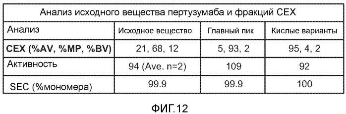 Композиция, содержащая антитело, которое связывается с доменом ii her2, и его кислые варианты (патент 2543664)