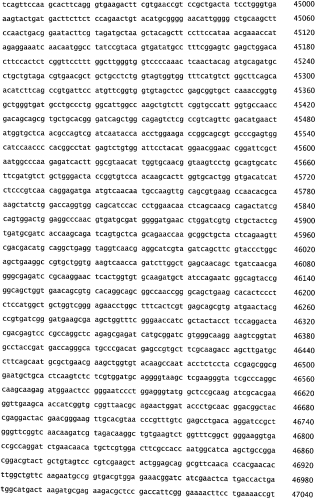 Бактериофаг, обладающий активностью против pseudomonas aeruginosa, белки бактериофага и способы их применения (патент 2580248)